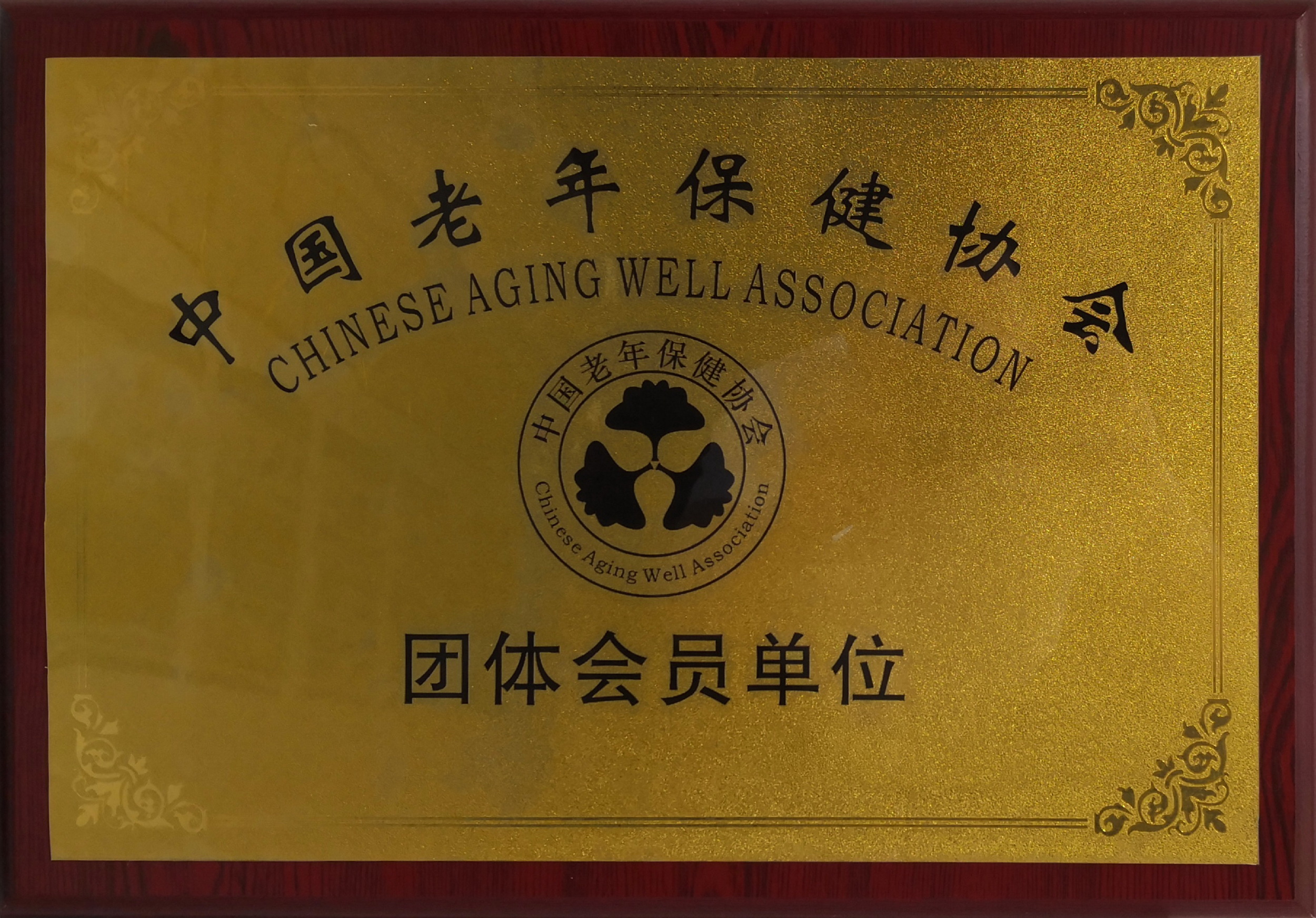 中国老年保健协会团体会员单位